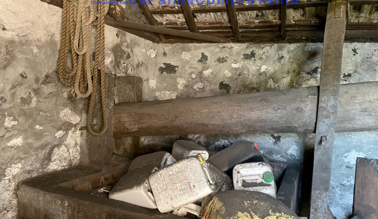 4122fc39-20c5-460b-8817-3d753e7f85c2