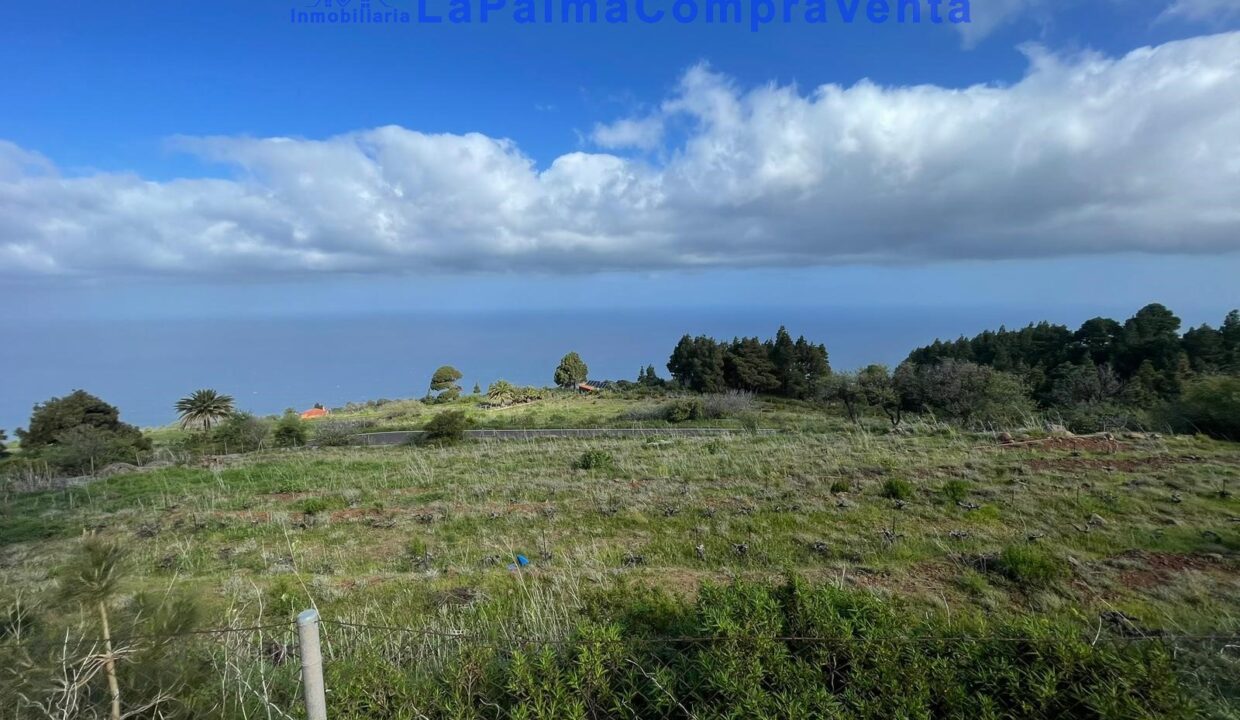 IMG-20250826-WA0003