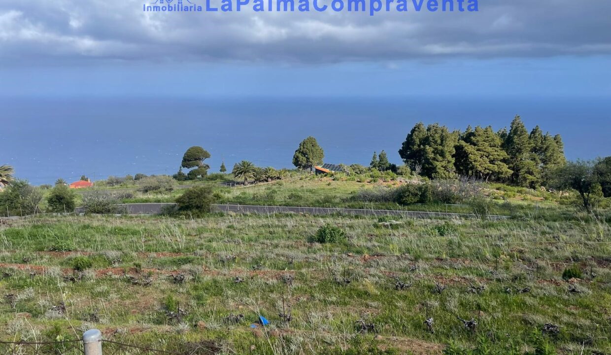 IMG-20250826-WA0006