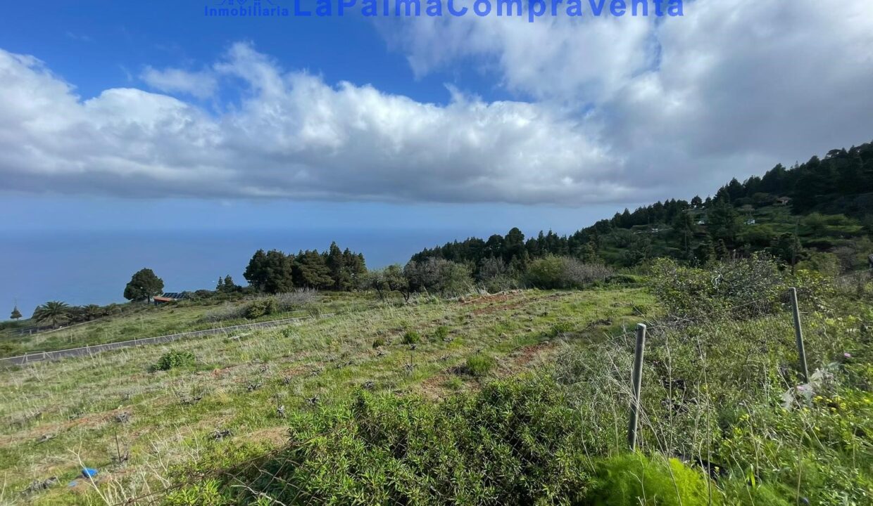 IMG-20250826-WA0007